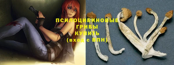 сатива Нефтекумск