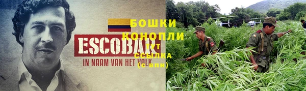 сатива Нефтекумск