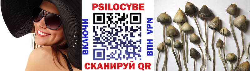 Галлюциногенные грибы мухоморы купить сайты Лакинск