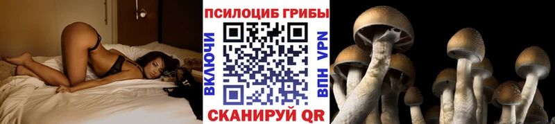 Галлюциногенные грибы мицелий Лакинск